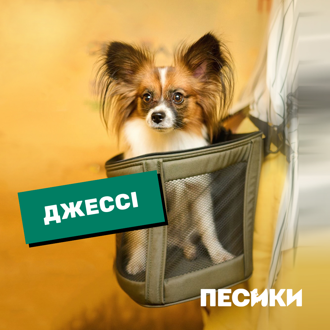 Дебют Лесі Нікітюк і особлива місія. Цікаві факти про фільм "Песики" і коли він вийде